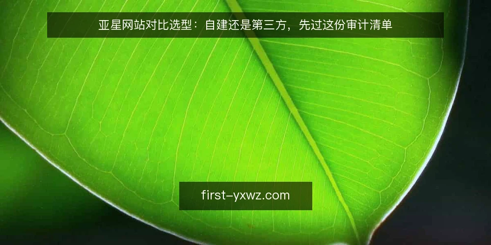 亚星网站对比选型：自建还是第三方，先过这份审计清单 — 为什么现在要审计选型前提 配图